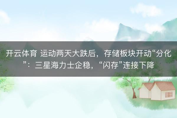 开云体育 运动两天大跌后，存储板块开动“分化”：三星海力士企稳，“闪存”连接下降